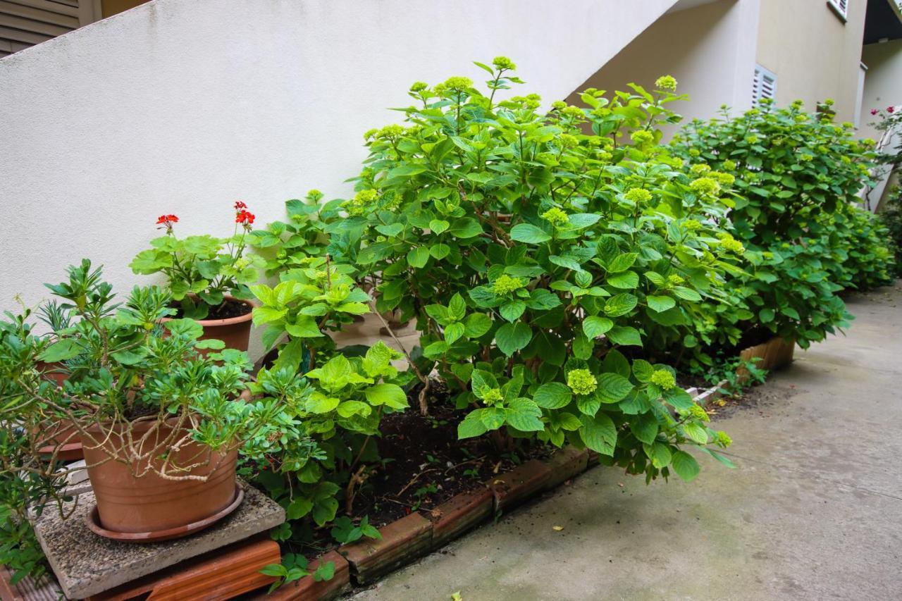 Apartment Passage ดูบรอฟนิก ภายนอก รูปภาพ